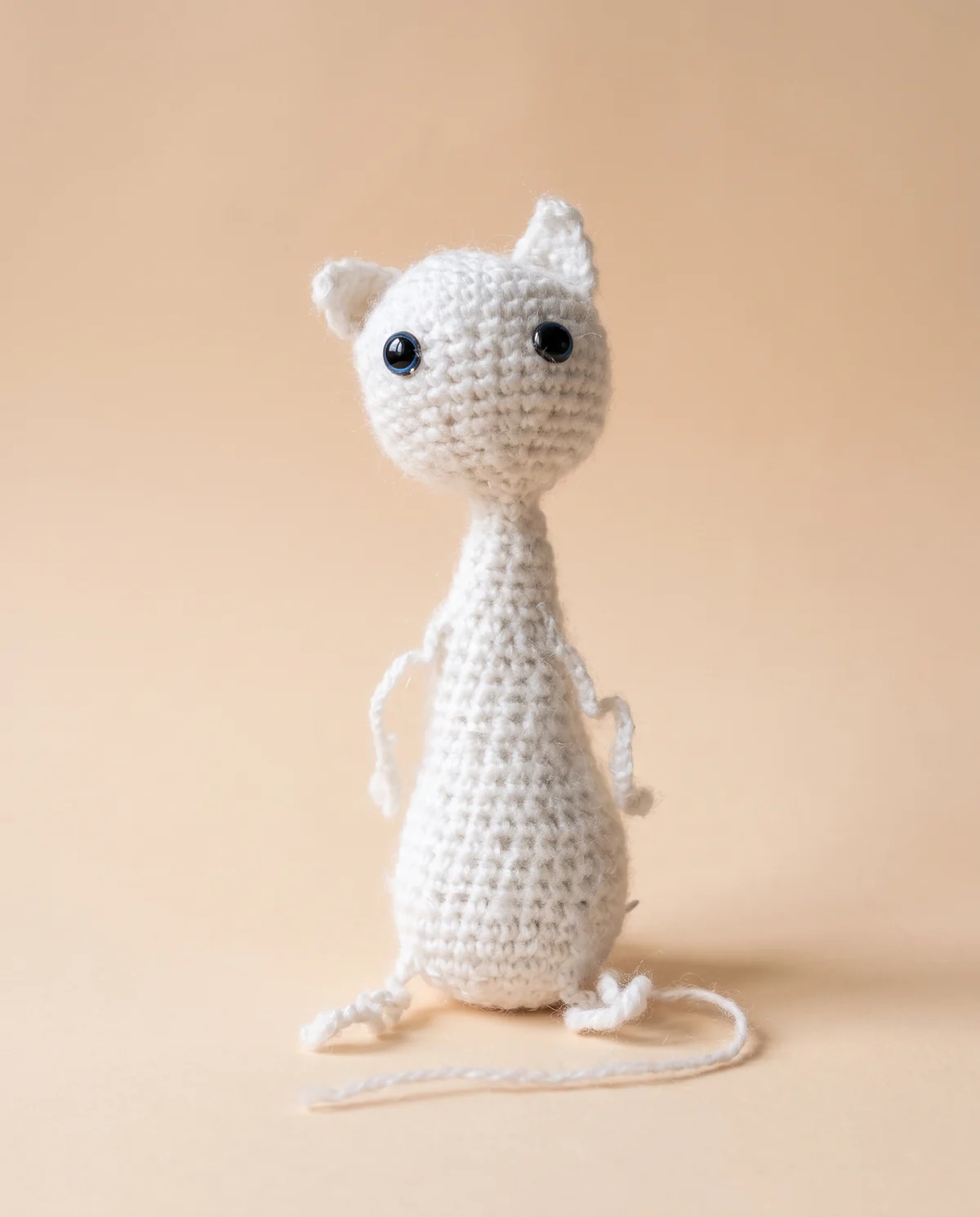 The yarn cat, presented as an artistic studio image